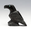 Studying Raven