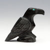 Studying Raven