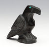 Studying Raven