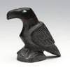 Studying Raven