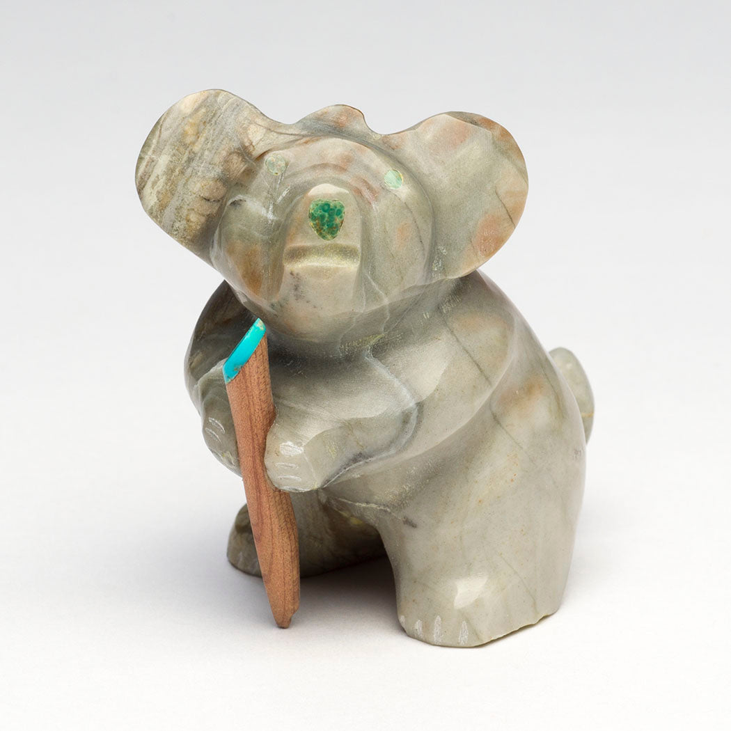 Wise Water Steward Koala