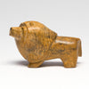 Noble African Lion