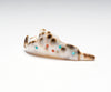 Cowry Shell Dolphin