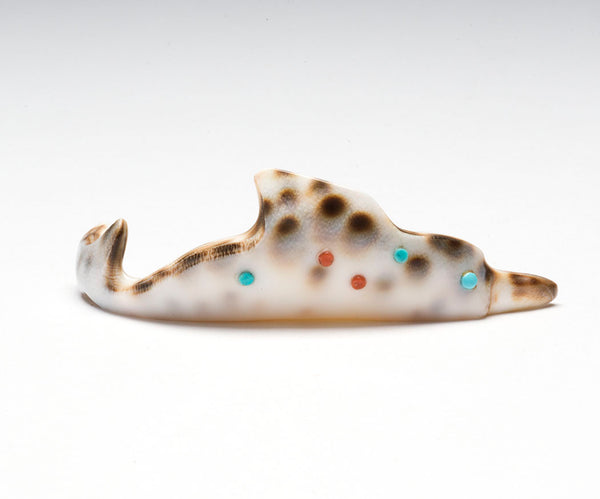 Cowry Shell Dolphin