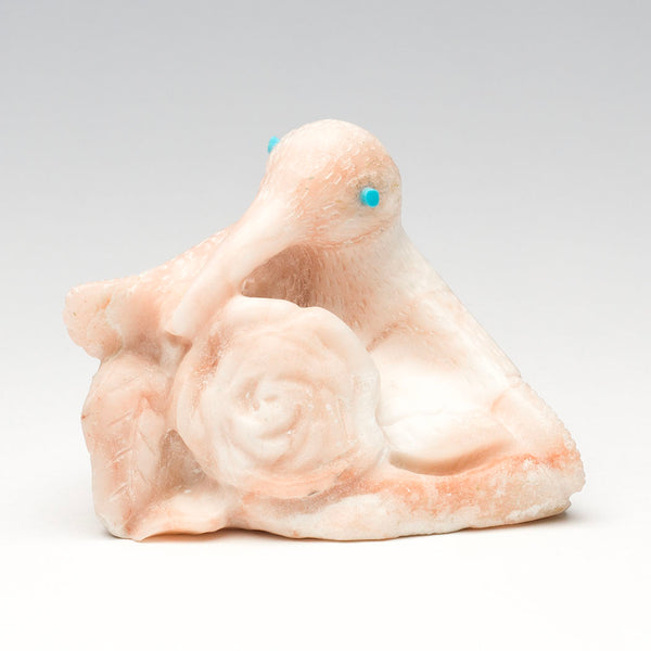Rosy Zuni Morning Hummingbird