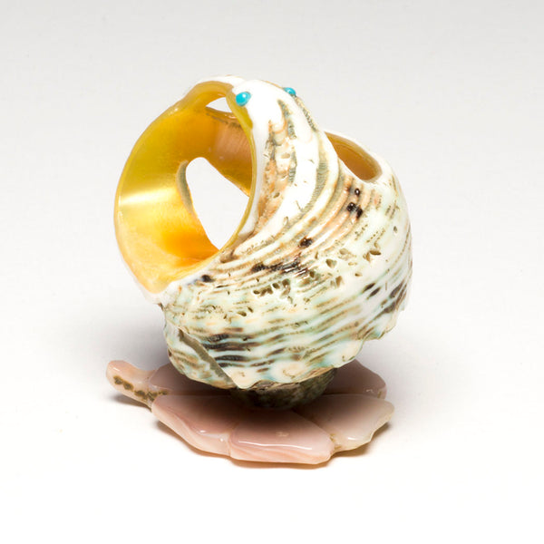 Pacific Green Snail Shell Pollinator Hummingbird