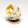 Pacific Green Snail Shell Pollinator Hummingbird