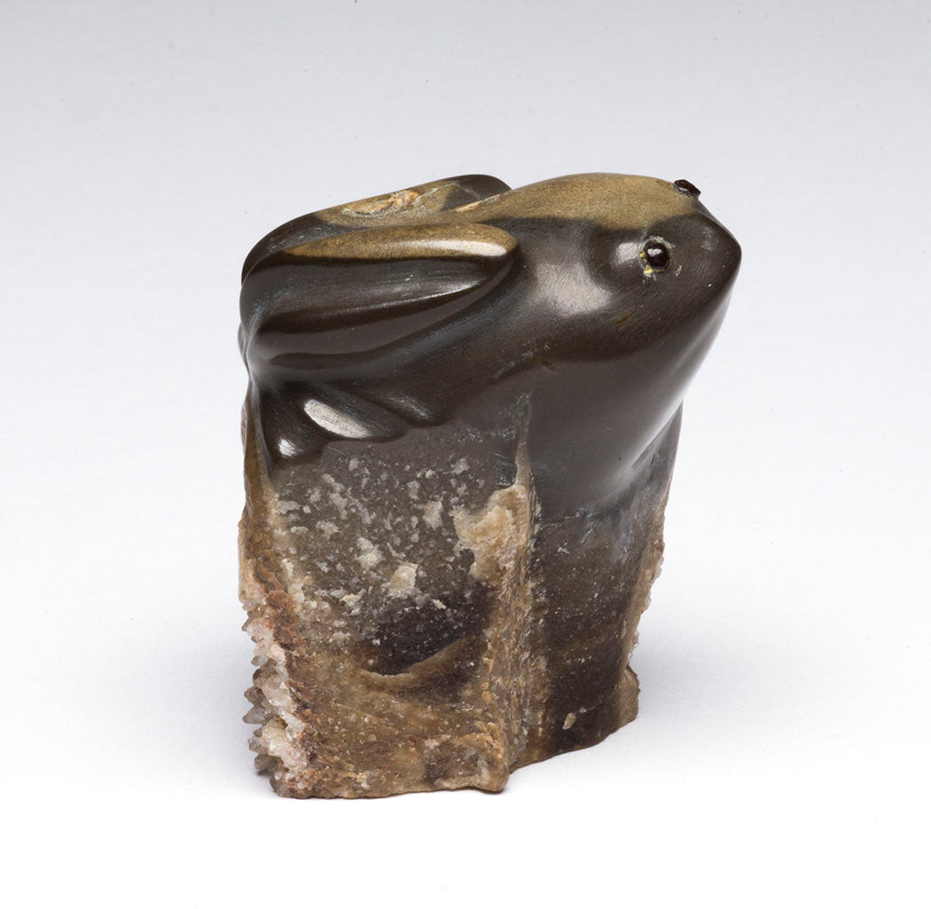 Fence Lake Septarian Frog