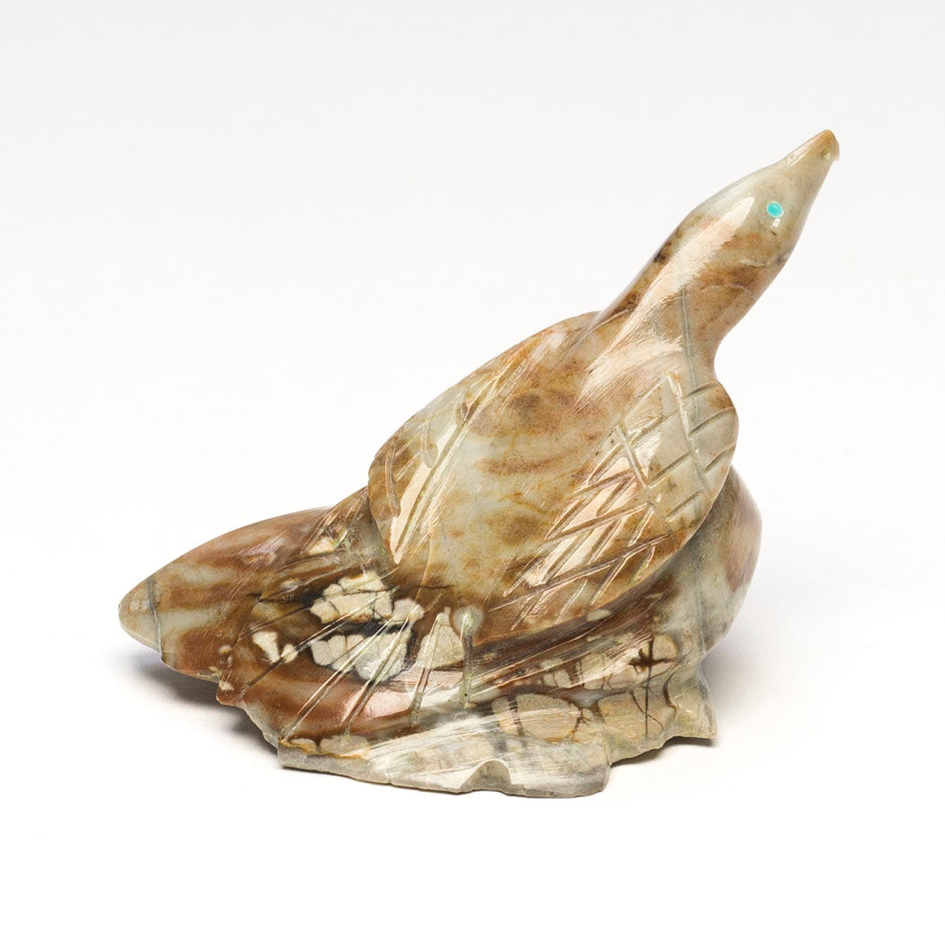 Fit To Fly Hunting Eagle