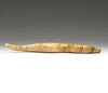 Gliding Snake