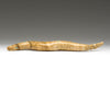 Gliding Snake