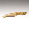 Gliding Snake