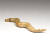 Gliding Snake