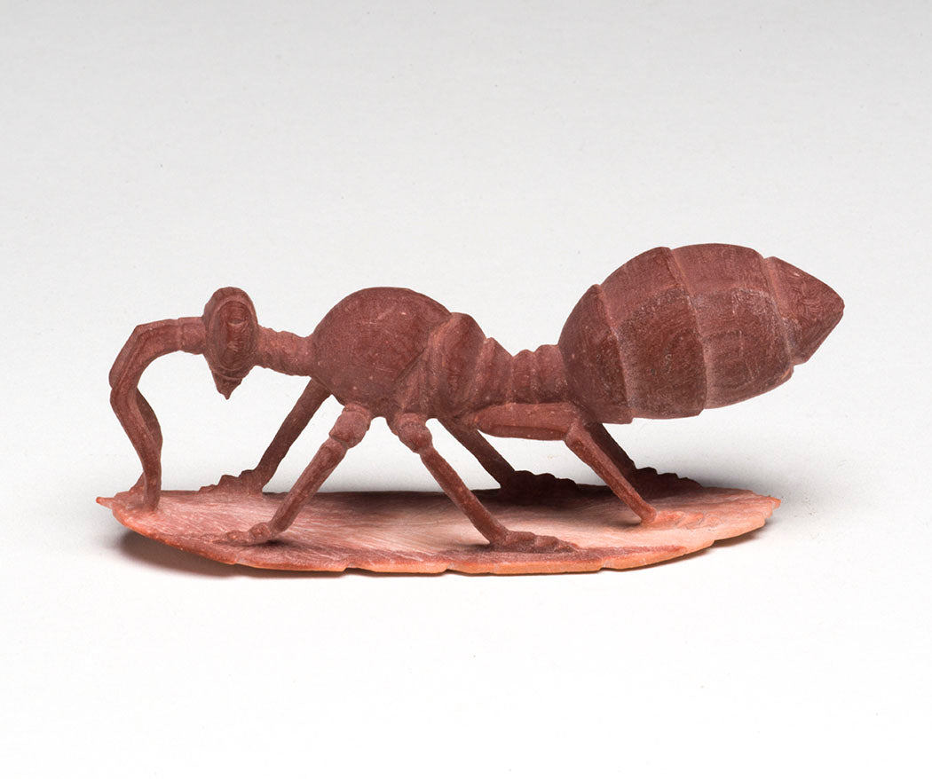 Harvester Red Ant