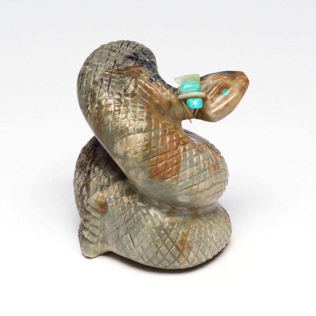 Rattlesnake: Ecosystem Regulator