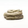 Zuni Mountain Rattlesnake