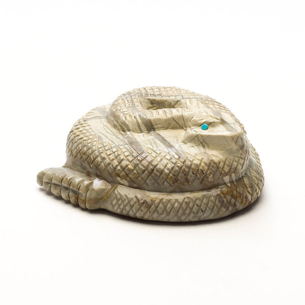 Zuni Mountain Rattlesnake