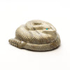 Zuni Mountain Rattlesnake