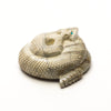 Zuni Mountain Rattlesnake
