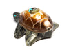Sunface Turtle