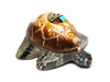 Sunface Turtle
