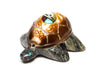 Sunface Turtle
