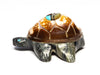 Sunface Turtle