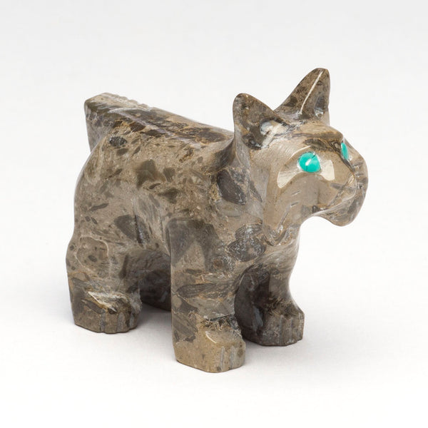 Precocious Bobcat Kitten