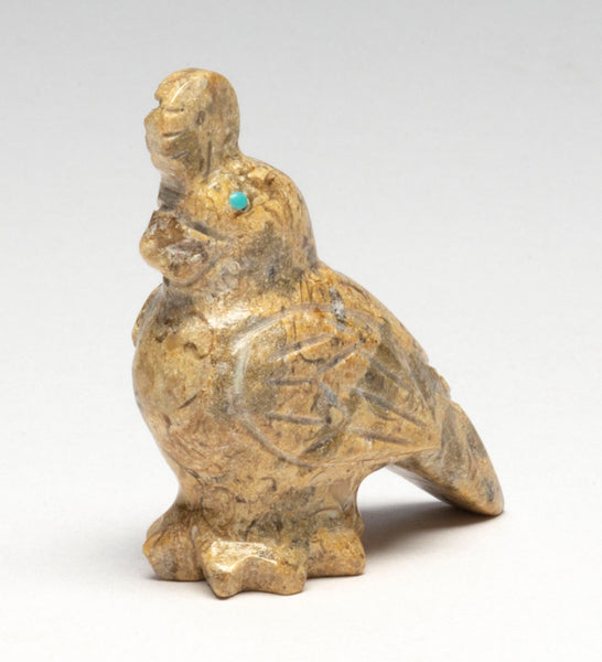 Topknot Quail