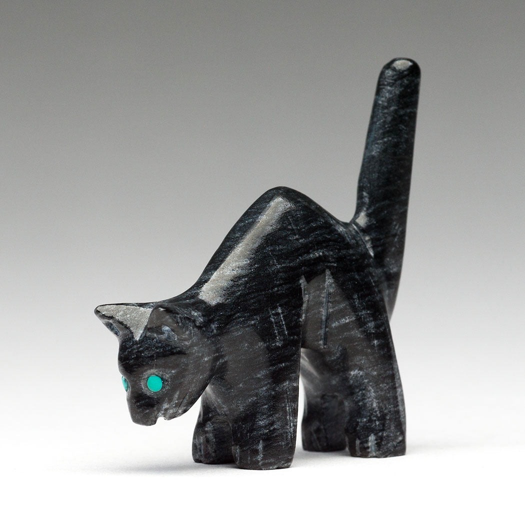 Scaredy-Cat