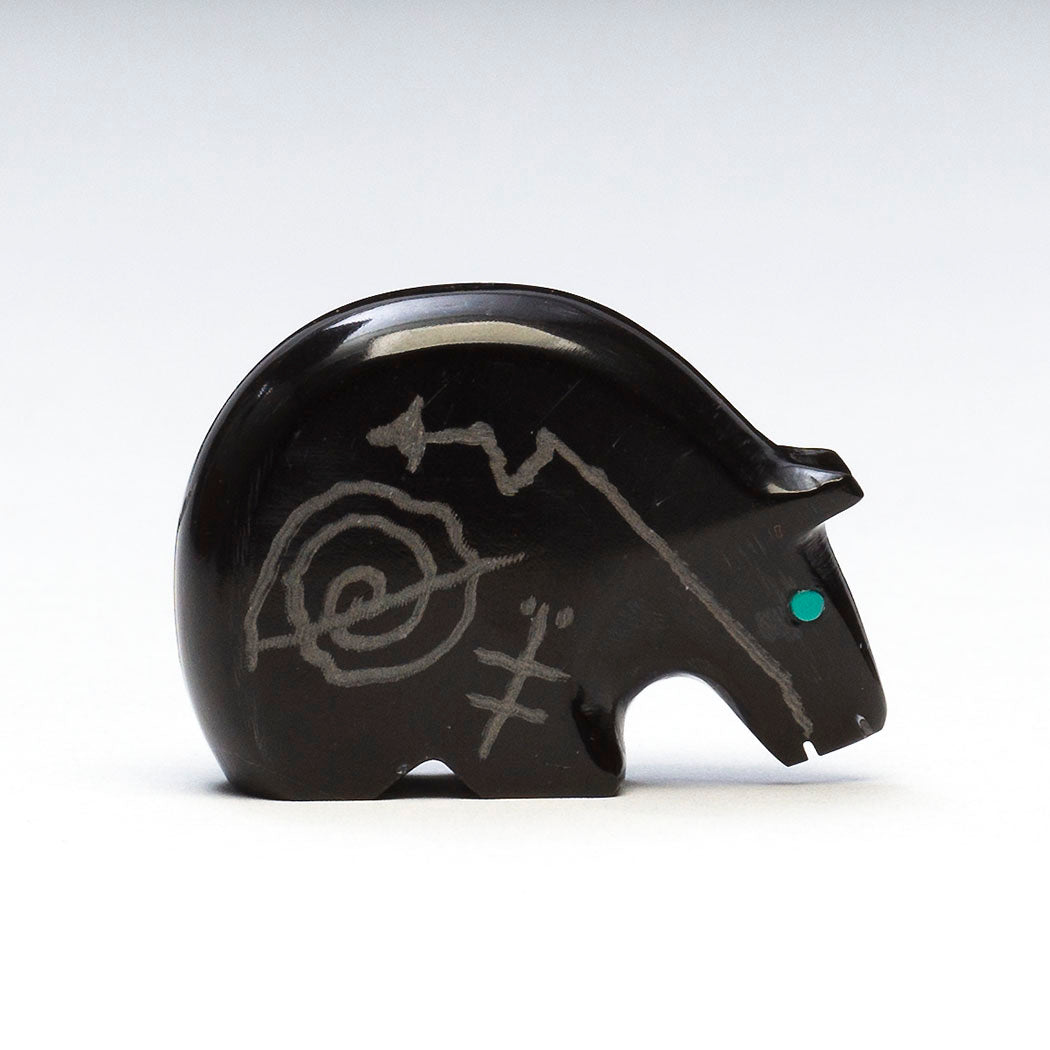 Sacred Symbols Medicine Bear