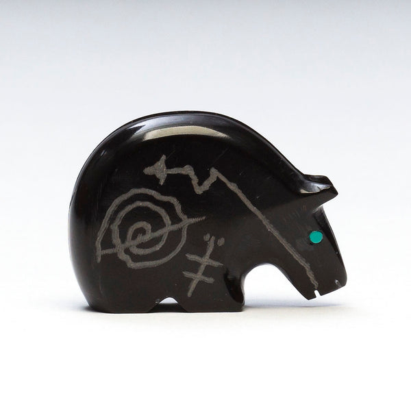 Sacred Symbols Medicine Bear