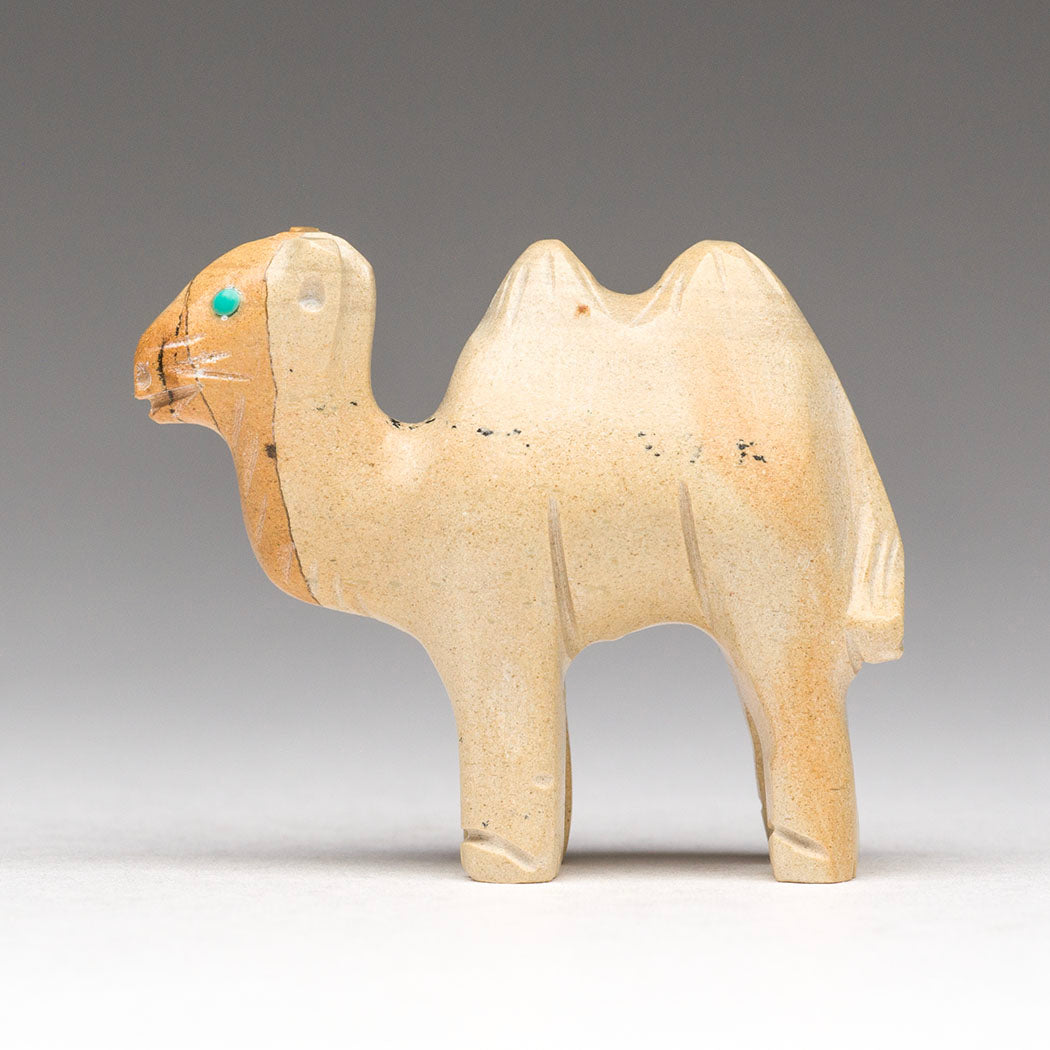 Bactrian Camel