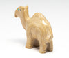 Noble Camel