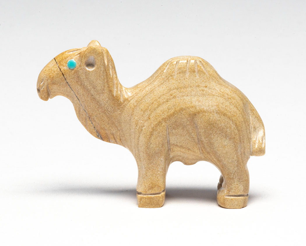 Noble Camel