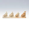 Elegant Quail Family