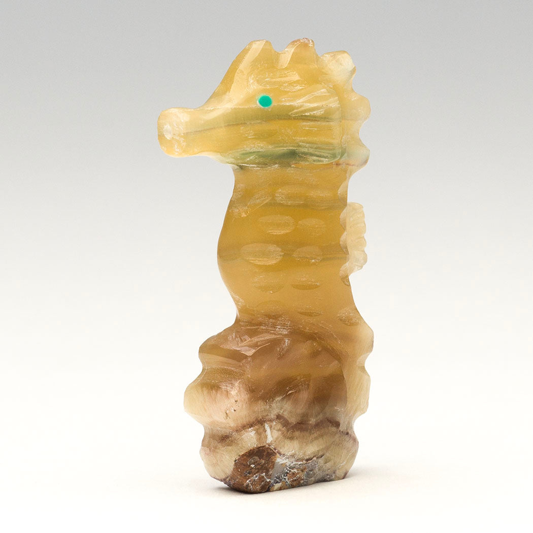 Father Seahorse