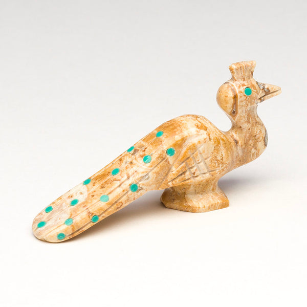 Elegant Peacock