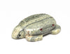 Take With You Turtle & Pouch