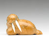 Sweet Walrus
