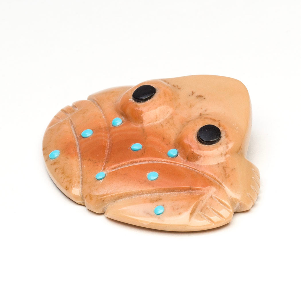 Frog For Rain
