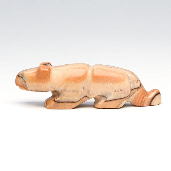 Harmonious Mountain Lion