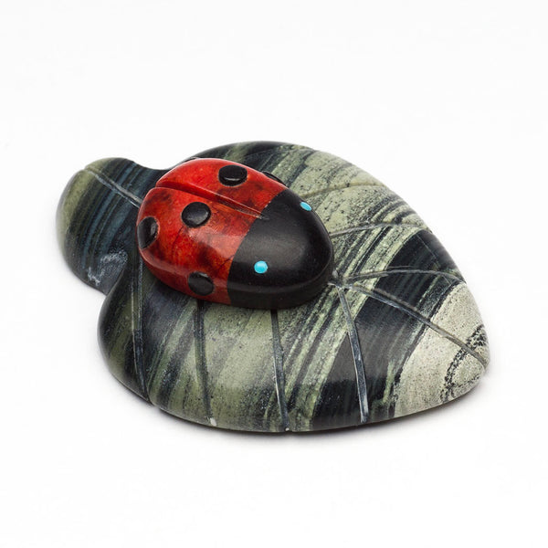 Ladybug Magic