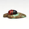 Ladybug Paradise