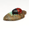 Ladybug Paradise