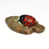 Ladybug Paradise