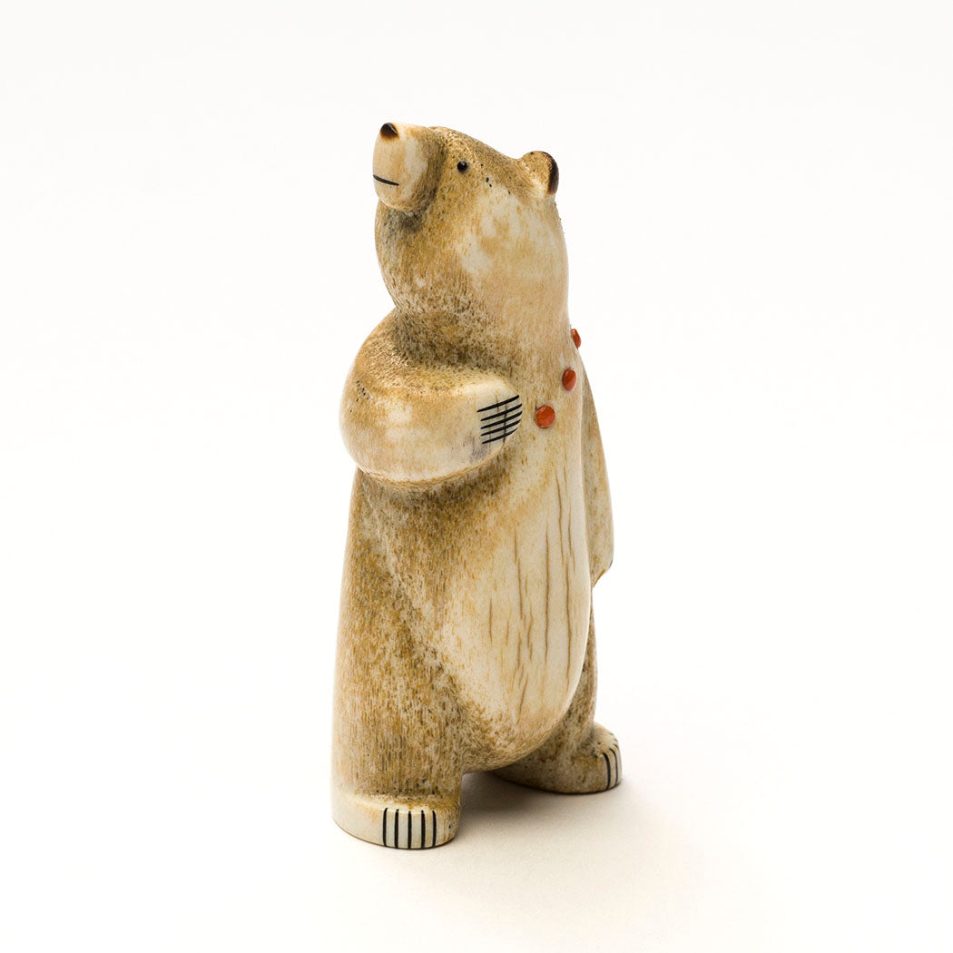 Sightseeing Bear