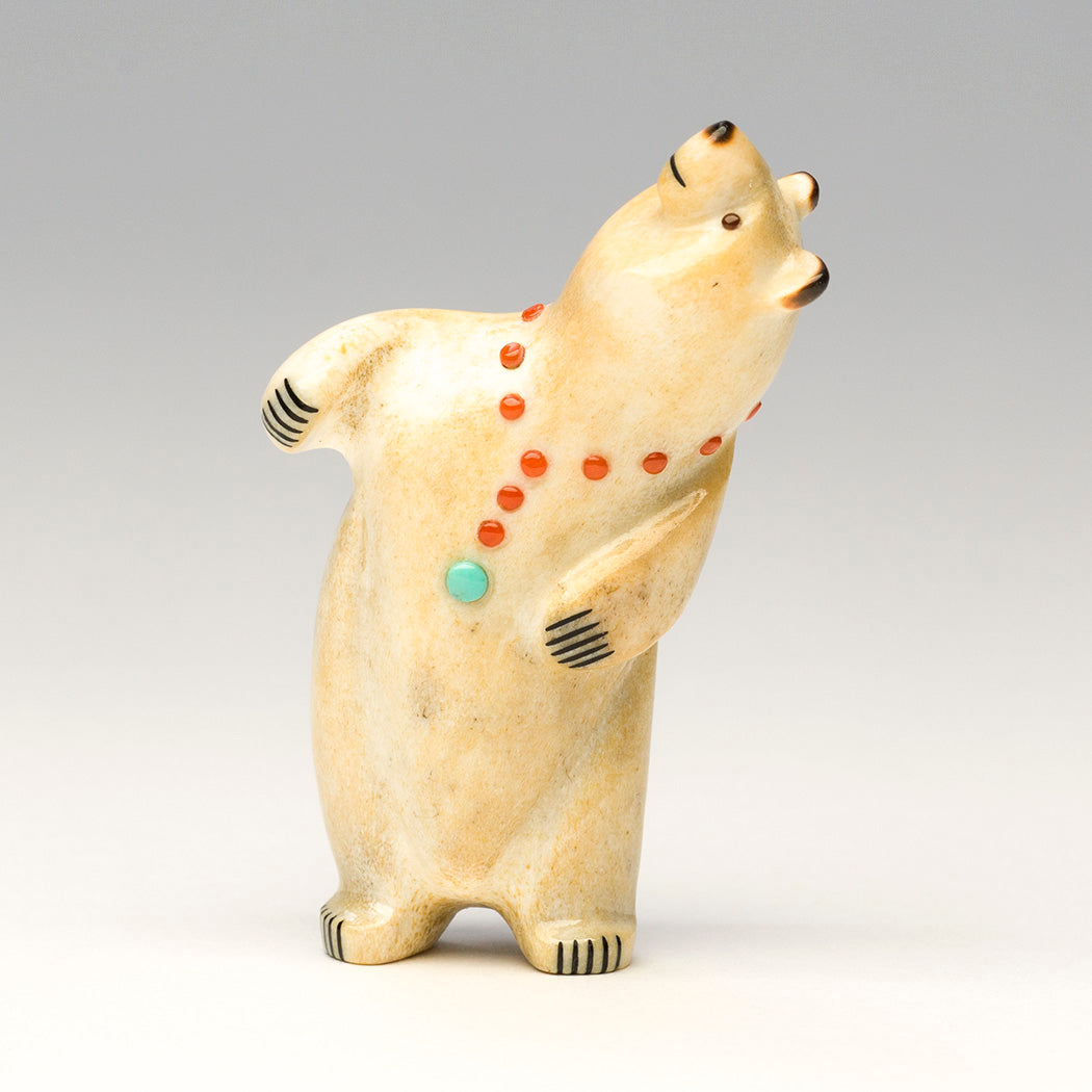 Look At That! Bear