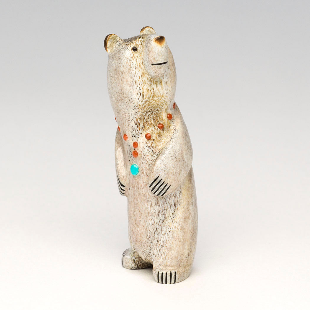 Sky-Watching Bear