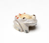 Best Of Frogs